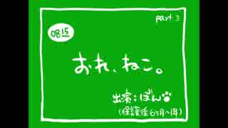 【保護後1年経過】おれ、ねこ。 第三弾【ぼんちゃん成猫前～現在】