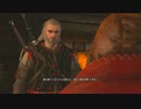 【実況】私のWitcher3⊿24
