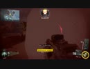 [COD:BO3(ベータ)] 凡人が 逝く part 12 　フルカスタマイズ　Dingo (LMG)