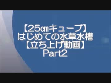 【25㎝キューブ】はじめての水草水槽【立ち上げ動画】Part2