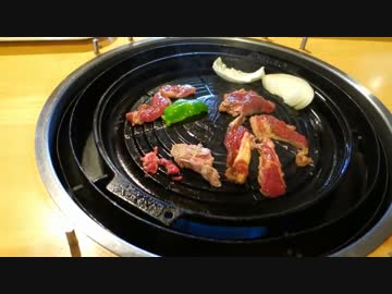 【バイク車載】キャンツー行って来ました！【日光編】part1