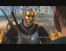 【実況】私のWitcher3⊿71