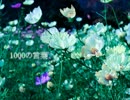♫歌ってみた♫1000の言葉：ぴっころ