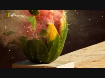 カバを逆さ その七