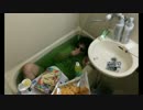 もこうの「うまるちゃん風呂ver」を逆再生してみた