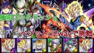 【無音】ベジットPTで神世界逝ってみた