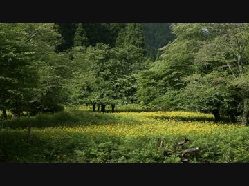 【　奥京都の旅　】　久多・花背