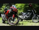 【Ninja250】Enjoy･Bike･Life-偶然にも遭遇-