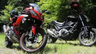 【Ninja250】Enjoy･Bike･Life-偶然にも遭遇-