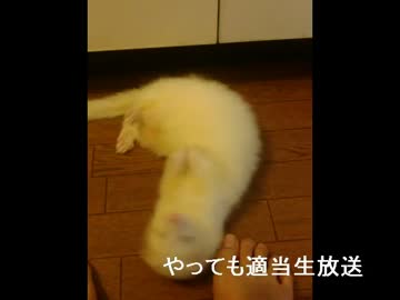 やってもの適当生放送アーカイブ動画　その１２