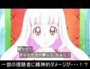 忙しい人のためのGo!プリンセスプリキュア　第29話