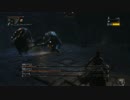 【初見】ハカハカしながらブラッドボーン実況 第27夜
