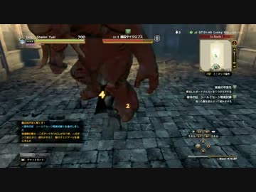 【しゃろん】ドラゴンズドグマオンライン 零章肆話【CBT2】