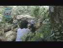 【シリア】反政府軍PKの射撃動画【高画質】