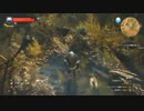 【実況】私のWitcher3⊿96