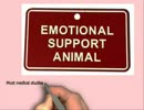 Emotional support animal certification