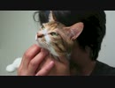 パパに捕まると現実逃避をしだす猫