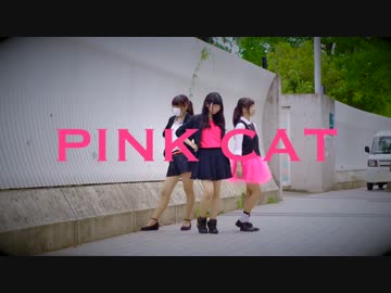 【3N(スリーナ)】PiNK CAT【踊ってみた】