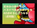 【パズドラ実況】遅れてきたパズドラ夏休みガチャを40連するとこうなる