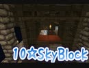 SkyBlock～島は破壊されるもの～No.10