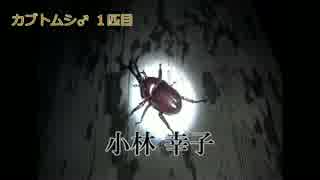 【夏休み】本当に自然を満喫してみた 朝編 後半【2014昆虫採集編】