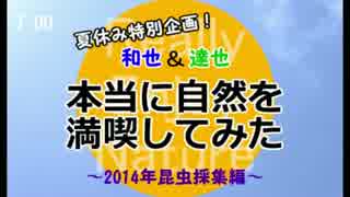 【夏休み特別企画】本当に自然を満喫してみた 夜編【2014昆虫採集編】