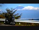 Tiger × Touring