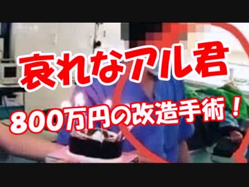 【哀れなアル君】 ８００万円の改造手術！