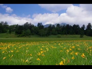 2010年ﾊﾞｲｸの旅 Part.53　【関東篇】