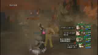 【ドラクエ10】キラークリムゾン撃破【パラ2スパ僧】