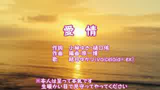 【結月ゆかり】小柳ゆき　愛情【VOICEROID+】