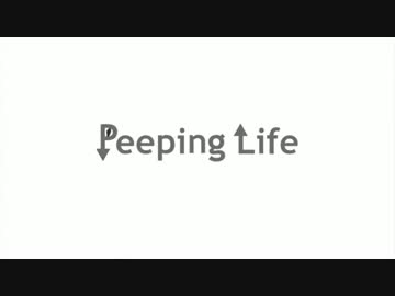 Peeping Life 演ってみた【HIGE・みかちぬ】