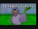 【ポケモンORAS】ポケモン紹介ランダムフリー【カモネギマン】