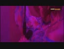 エキゾなＤＩＳＣＯ