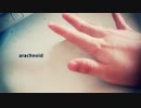 【arachnoid】おひさ新参ニコ厨【歌ってみた】