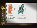 【ぼくのなつやすみ４】宿題？しるか。ぼくなつやるぞっ！part2【実況】