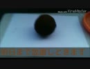 ホモと学ぶ泥団子の作り方.mp4