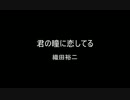 THE_MEDLEY_OF_I_LIKE_SONGS,_YHEA...