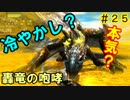 我が運命は、くじの結果次第！？　MH4Gを実況プレイ　＃２５