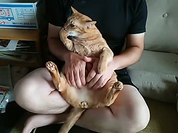 次郎を猫マッサージしてみた2