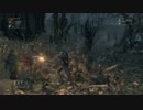 完全初見で ブラッドボーン を実況プレイ　第46夜