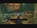 【ダークソウル2】虚ろの影の森イベントに参加してみた【侵入編】