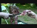プライムリブロースのローストビーフ