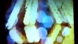 HASAMI group - LADY