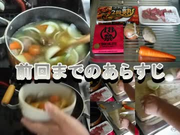 １８禁チョコレート入り二段熟カレー甘口を食べてみた
