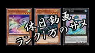 【遊戯王ADS】ランク1万のエクシーズ【RUM無し】