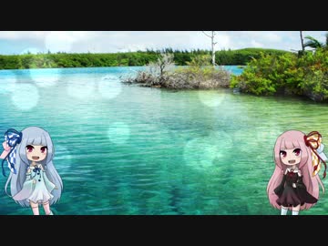 【琴葉茜・葵】琴葉姉妹がカノンを歌うよー【VOICEROID非実況動画祭】