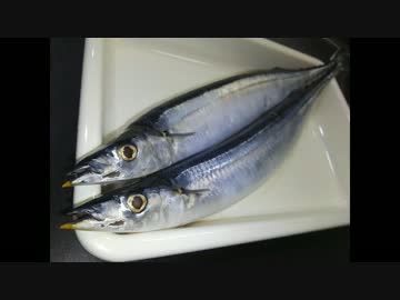 サンマの刺し身  　チート三枚おろし