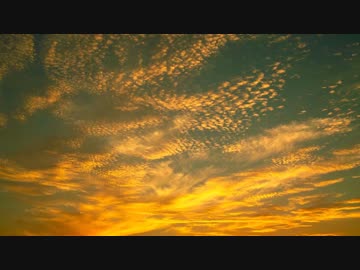 人気の スターダストレビュー 追憶 動画 5本 ニコニコ動画