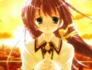 こんねこ　デモ[H.264]